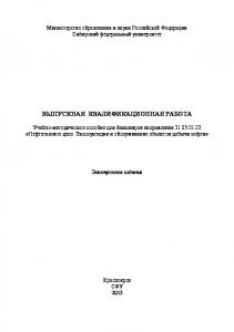 Выпускная квалификационная работа