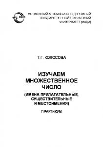 Изучаем множественное число (имена прилагательные, существительные и местоимения): практикум.