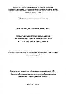 Геолого-промысловое обоснование эффективного использования запасов месторождений углеводородов. (АРМ специалиста геологической службы)