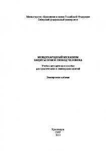 Международный механизм защиты прав и свобод человека