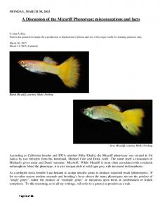 A Discussion of the Micariff Phenotype; misconceptions and facts