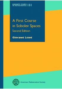 A First Course in Sobolev Spaces