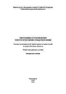 Экономика и управление энергетическими предприятиями. Оценка экономической эффективности инвестиций в энергетические объекты