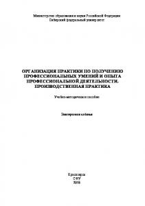 Организация практики по получению профессиональных умений и опыта профессиональной деятельности. Производственная практика