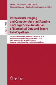 Intravascular Imaging and Computer Assisted Stenting and Large-Scale Annotation of Biomedical Data and Expert Label Synthesis