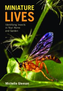 Miniature Lives : Identifying Insects in Your Home and Garden