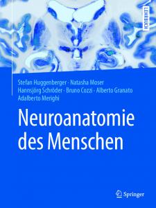 Neuroanatomie des Menschen