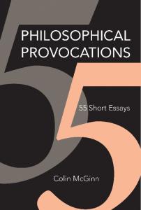 Philosophical Provocations: 55 Short Essays
