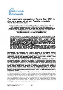 The phenotypic expression of Purple Body (Pb) in domestic guppy strains of Poecilia reticulata